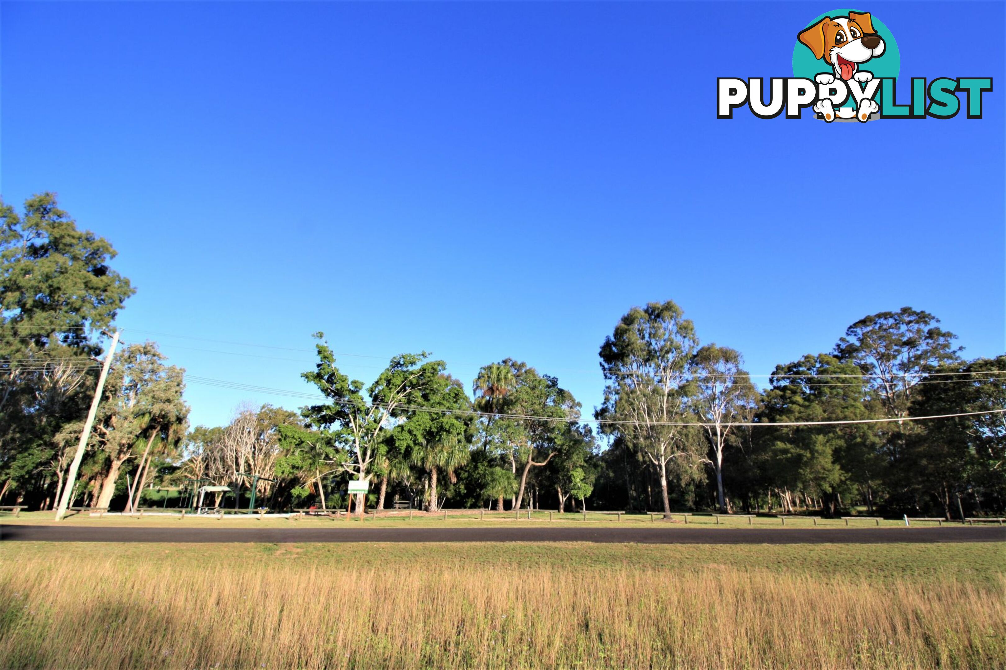 31 Currawong Road Gooburrum QLD 4670