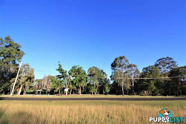 31 Currawong Road Gooburrum QLD 4670