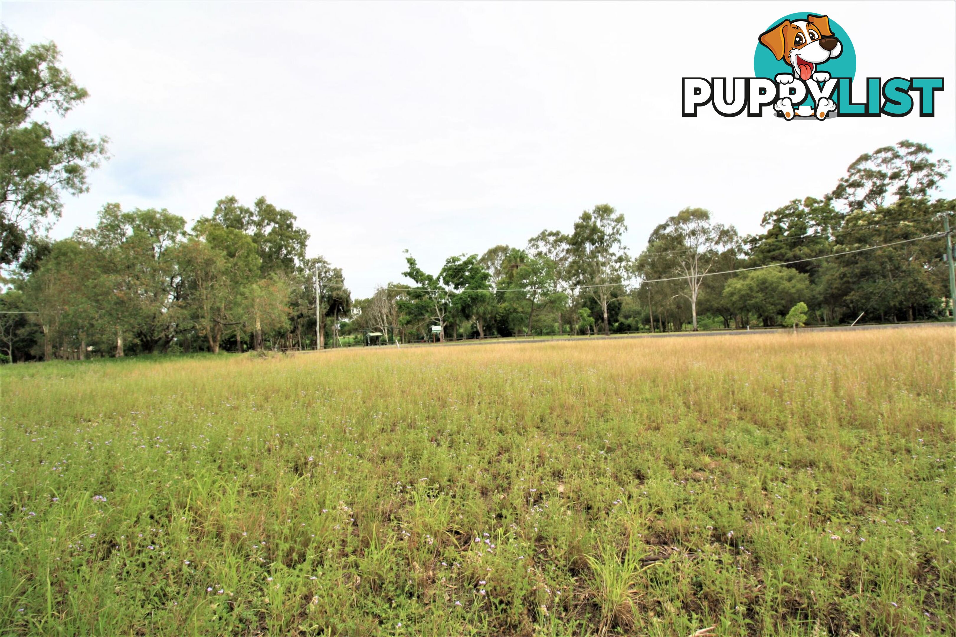 31 Currawong Road Gooburrum QLD 4670