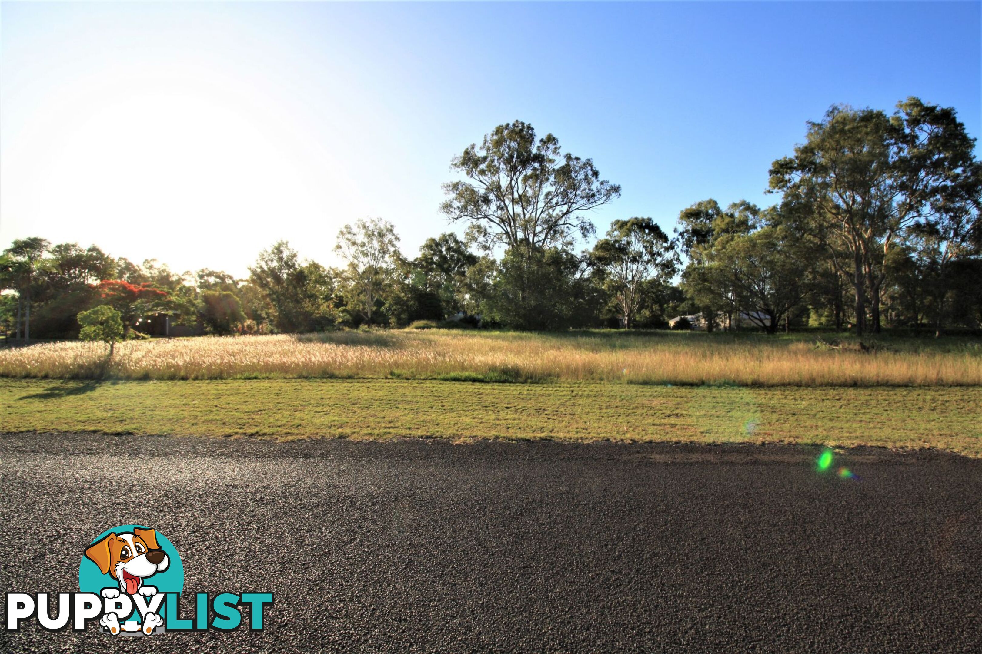 31 Currawong Road Gooburrum QLD 4670