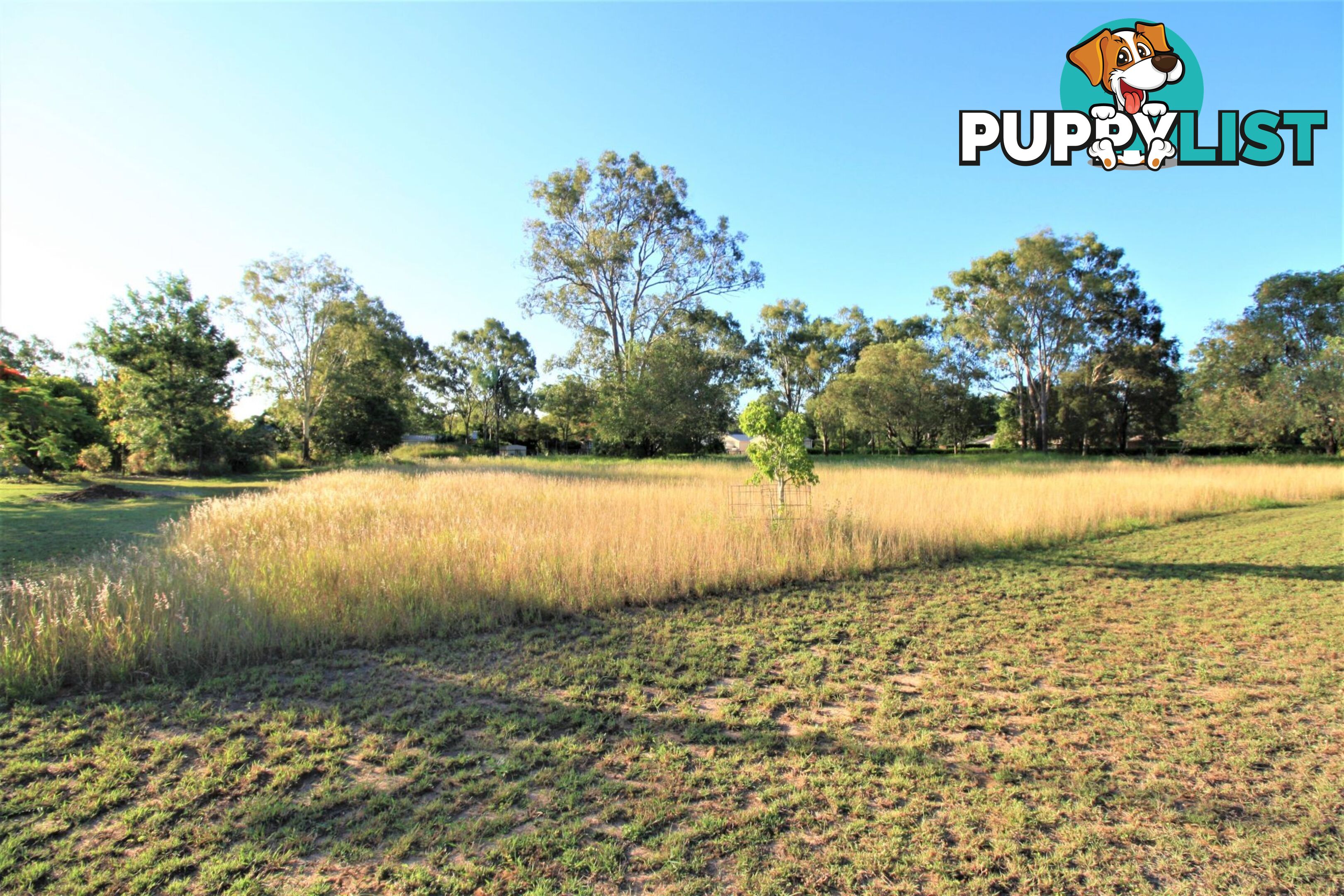 31 Currawong Road Gooburrum QLD 4670