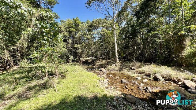 4 Brays Road Little Mulgrave QLD 4865