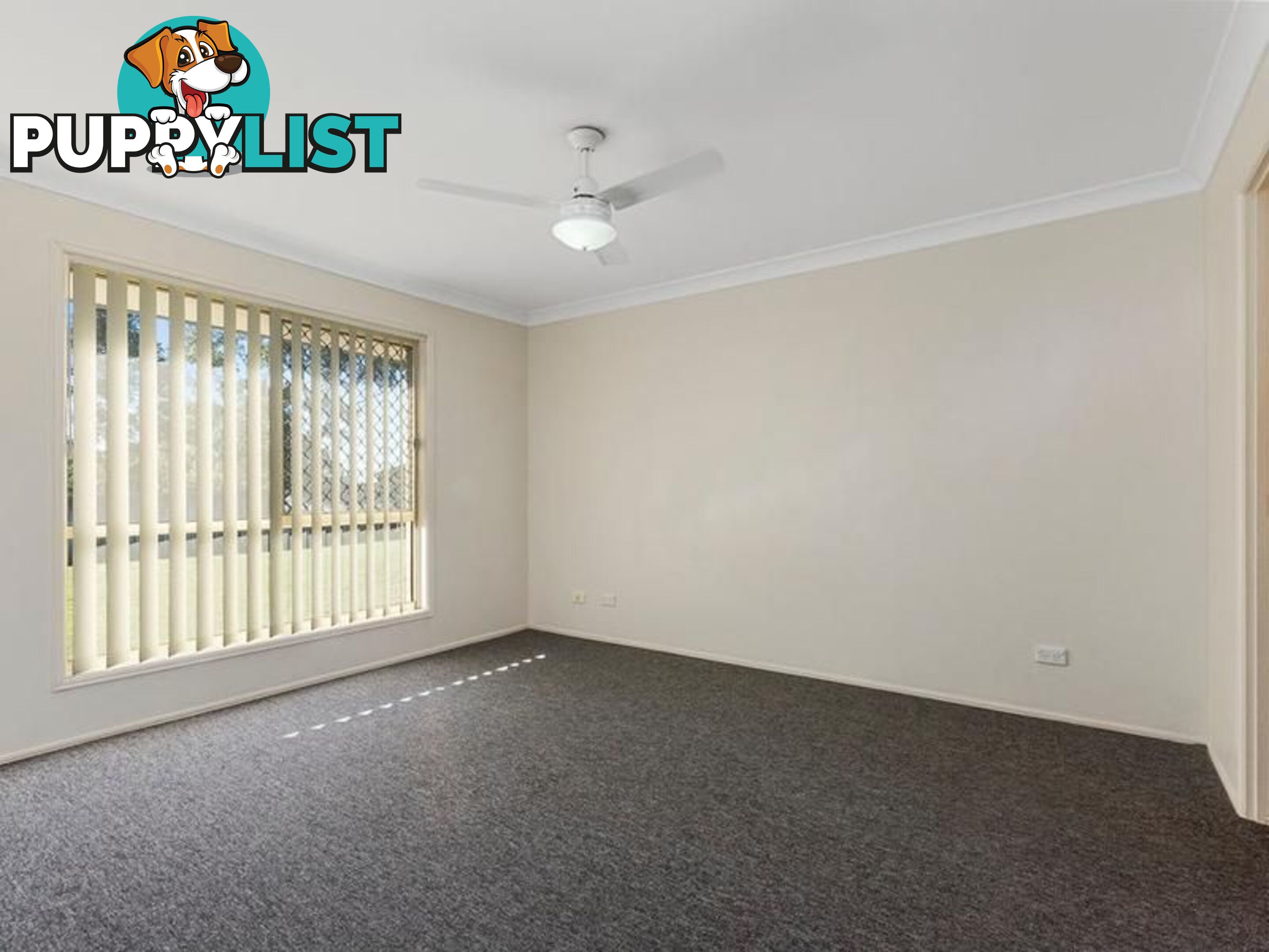 11 Waxberry Court REDBANK PLAINS QLD 4301