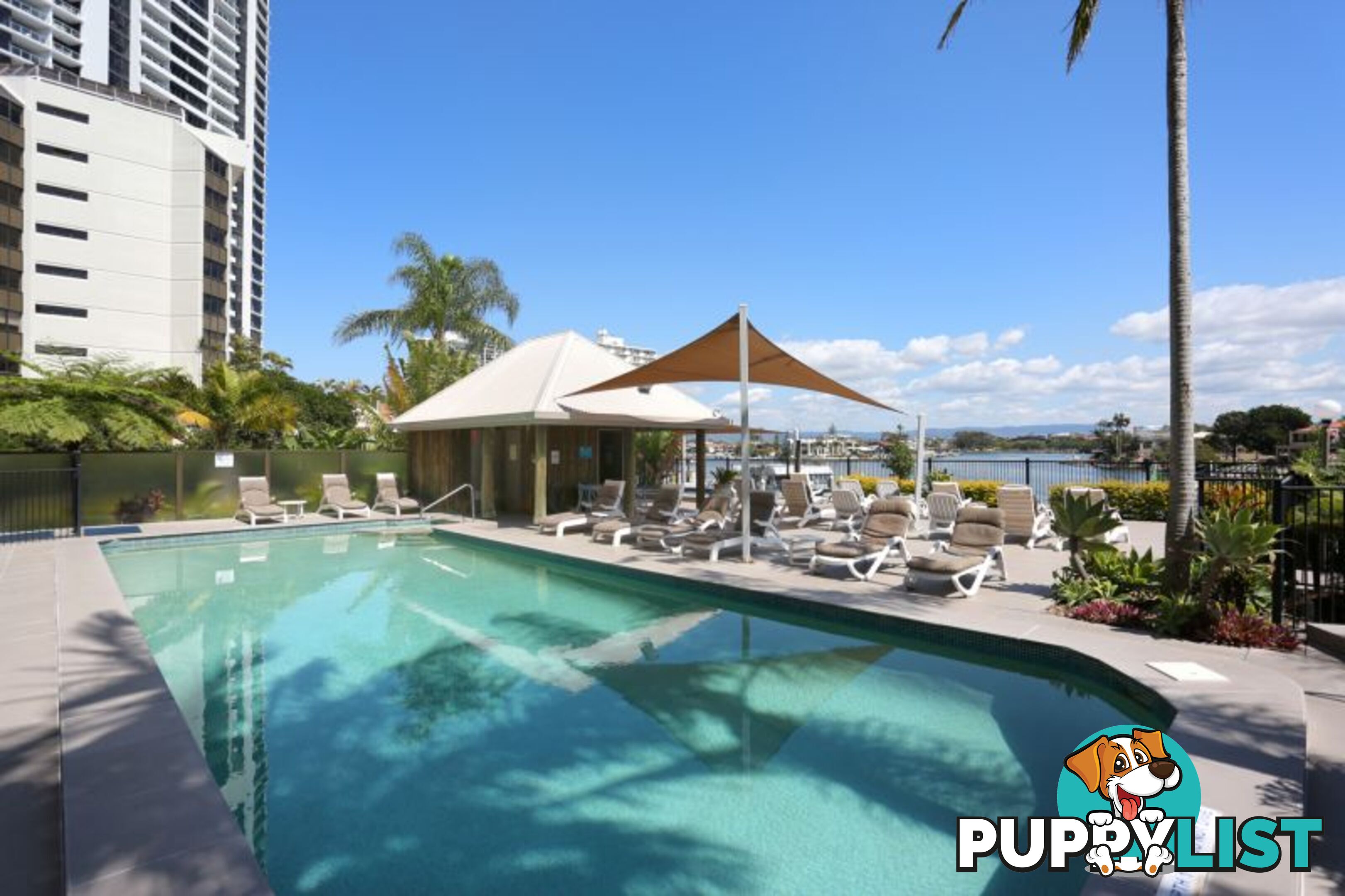 4 63 Cavill Avenue Surfers Paradise QLD 4217