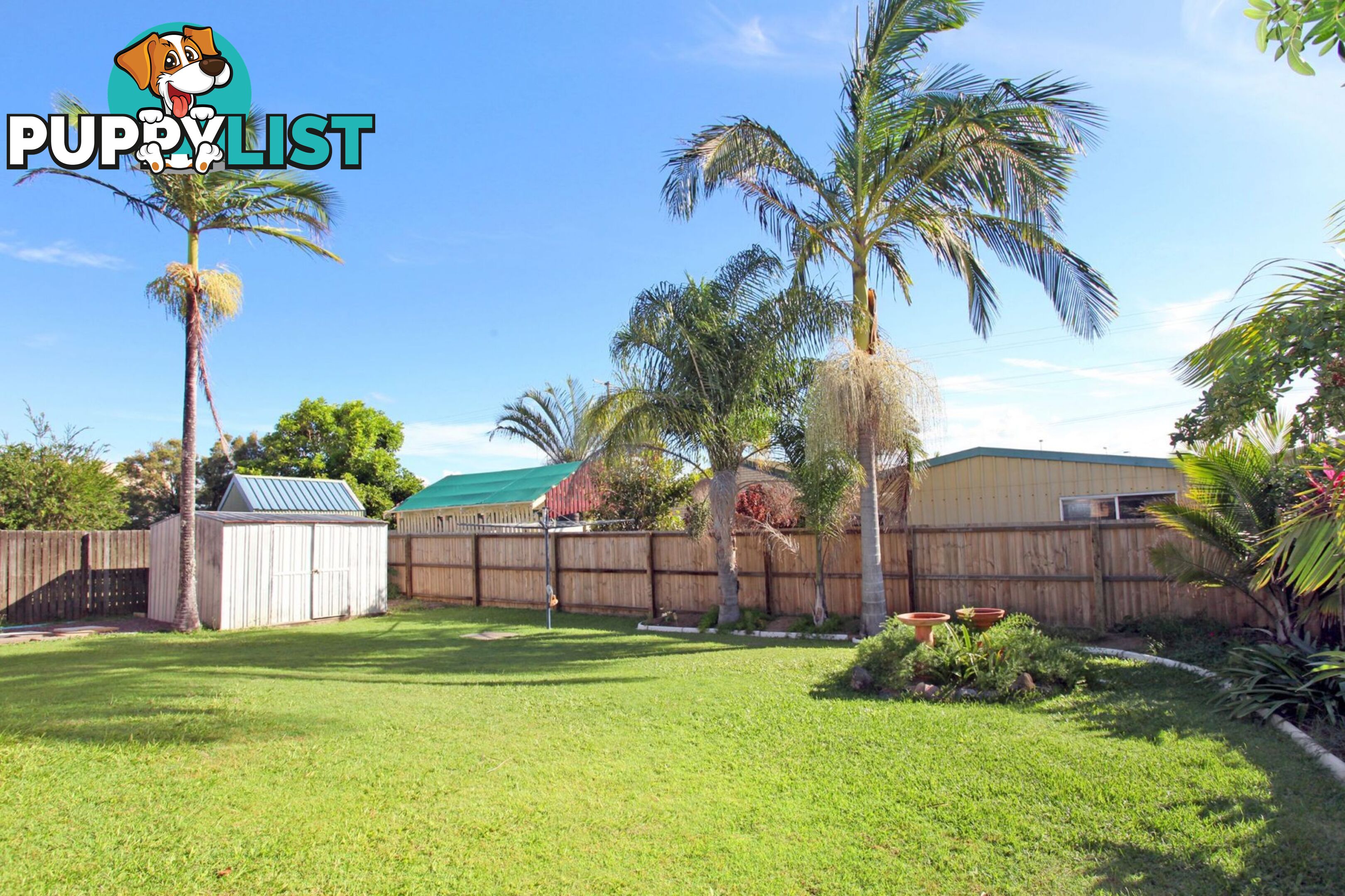 14 Orringa Street Wurtulla QLD 4575