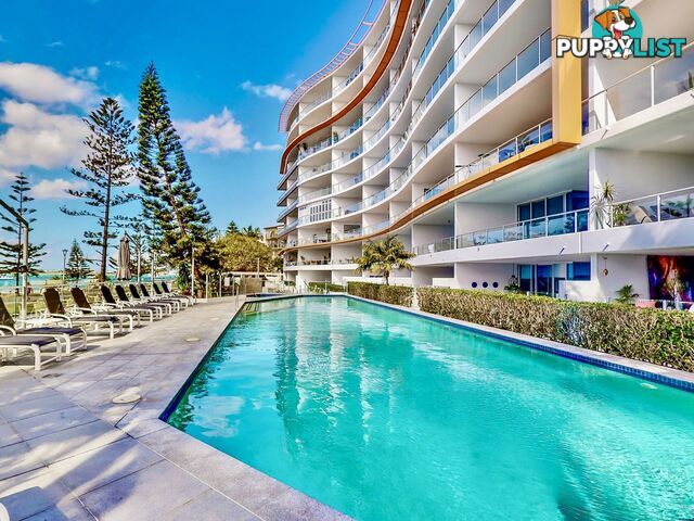 511 430 Marine Parade Biggera Waters QLD 4216