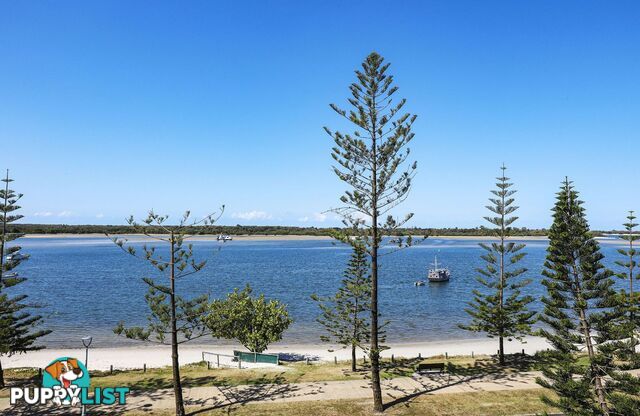 511 430 Marine Parade Biggera Waters QLD 4216