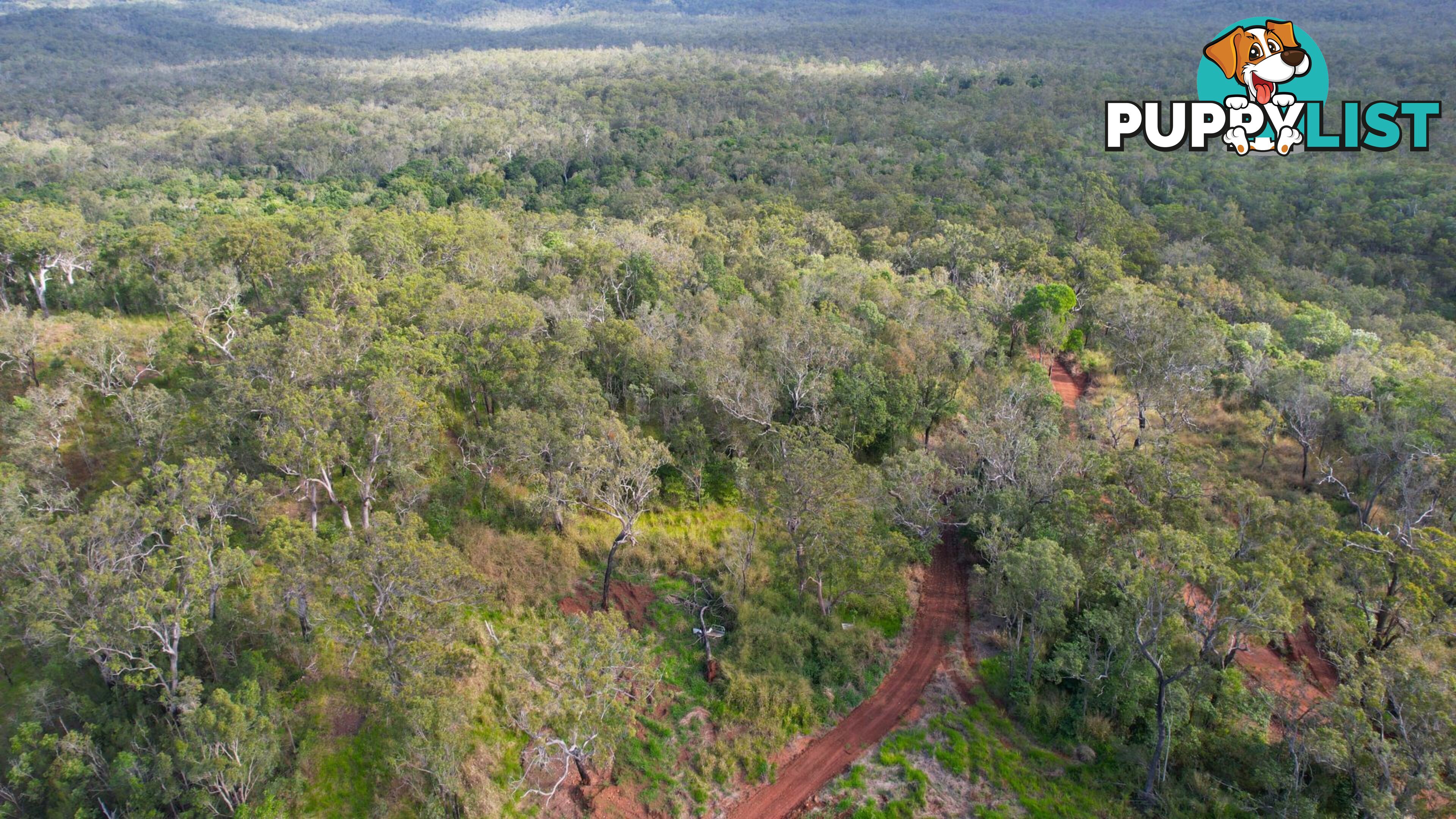 7 Cedar Park Road Koah QLD 4881