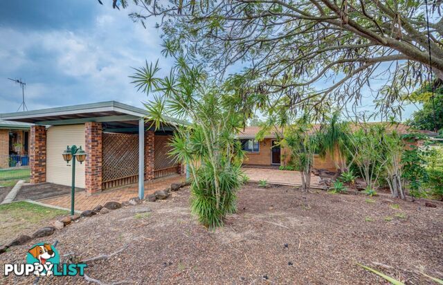 19 Newhaven Court Avoca QLD 4670