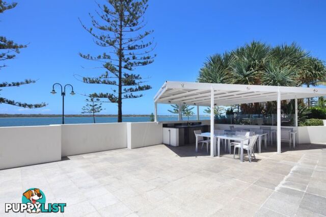 808 430 Marine Parade Biggera Waters QLD 4216