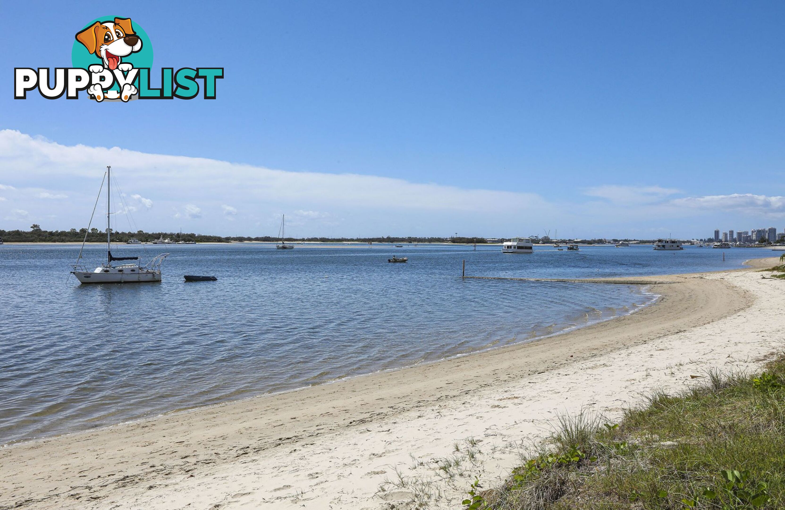 808 430 Marine Parade Biggera Waters QLD 4216