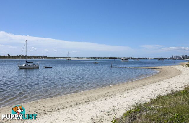 808 430 Marine Parade Biggera Waters QLD 4216