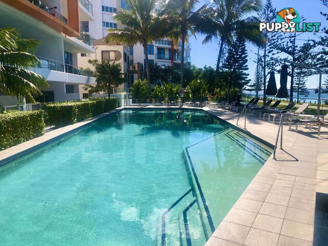 808 430 Marine Parade Biggera Waters QLD 4216