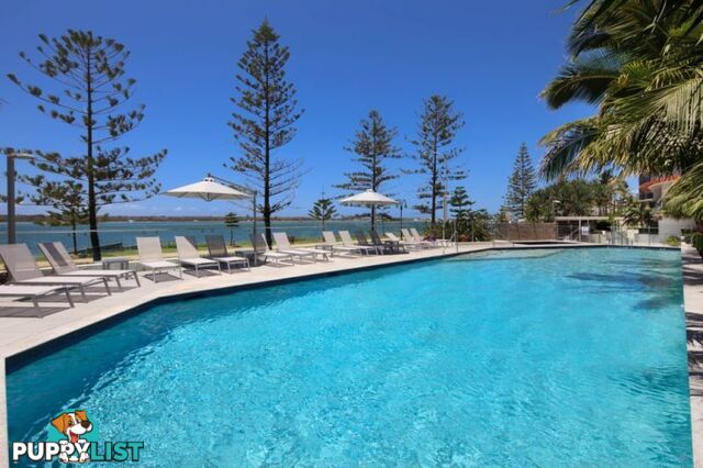 808 430 Marine Parade Biggera Waters QLD 4216