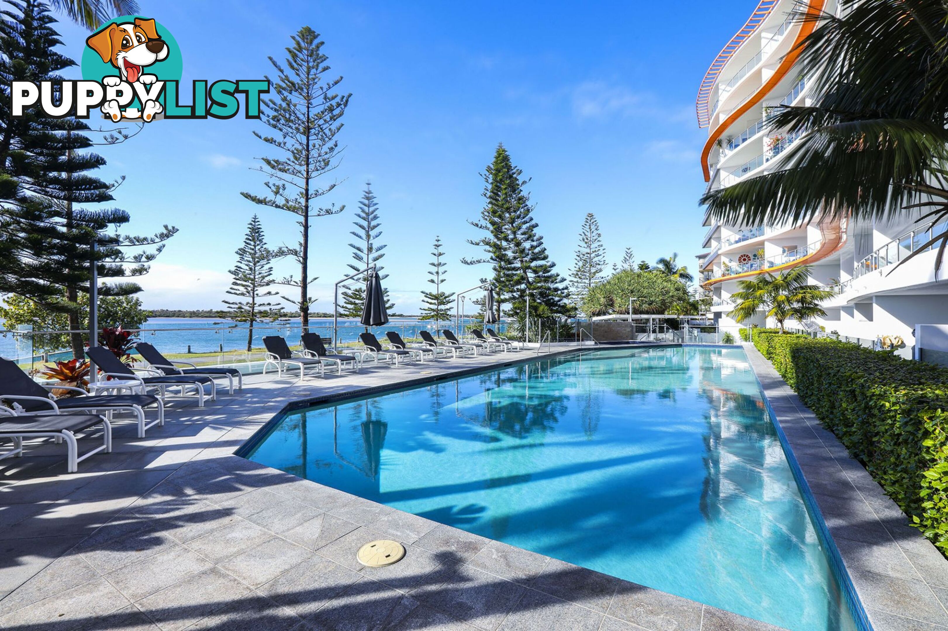 808 430 Marine Parade Biggera Waters QLD 4216