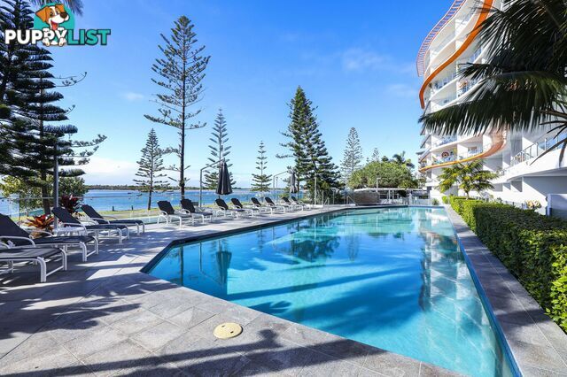 808 430 Marine Parade Biggera Waters QLD 4216