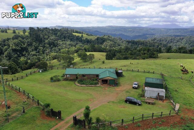 129 Ellinjaa Road Millaa Millaa QLD 4886