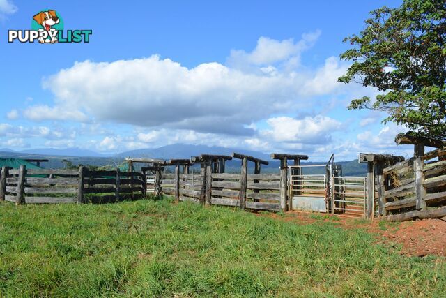 129 Ellinjaa Road Millaa Millaa QLD 4886