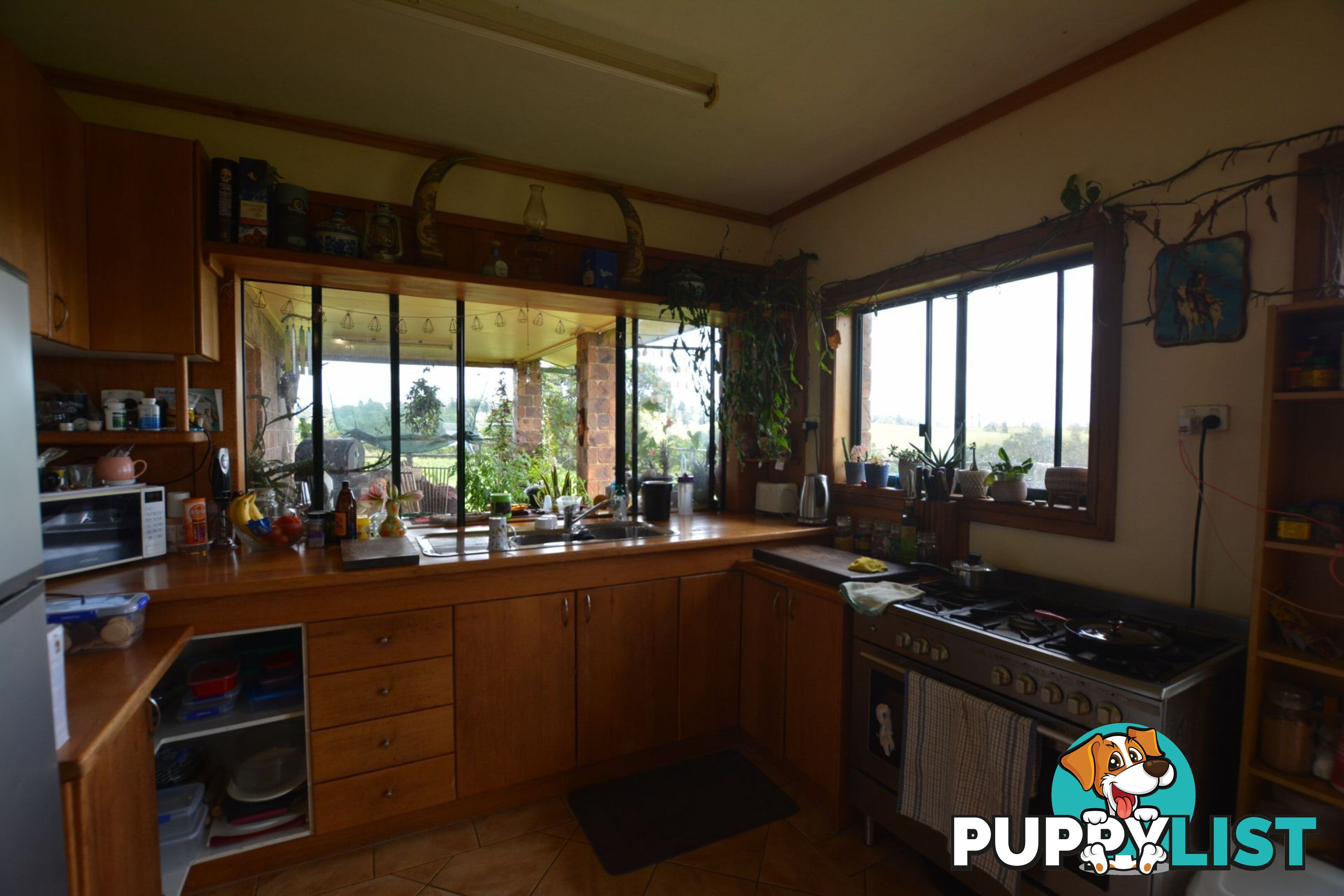 129 Ellinjaa Road Millaa Millaa QLD 4886