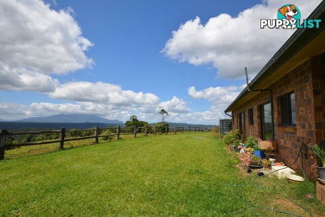 129 Ellinjaa Road Millaa Millaa QLD 4886