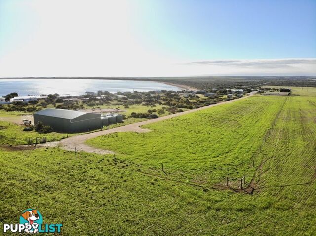 Lot 1-10 "Sceale Bay Heights" Sceale Bay SA 5680