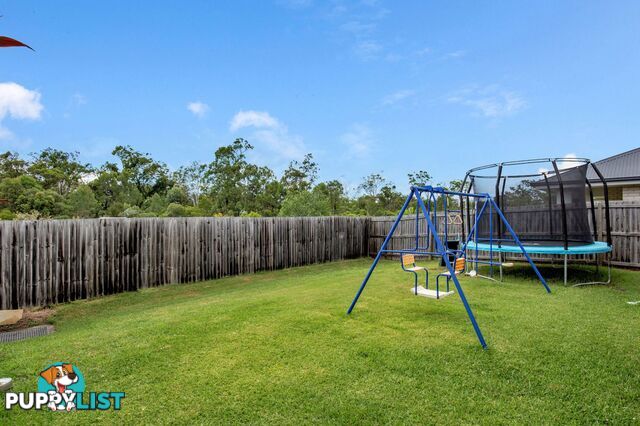 17 Alessandra Circuit Coomera QLD 4209