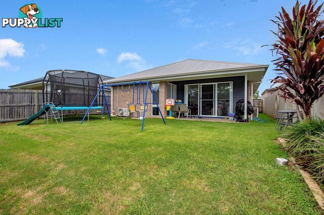 17 Alessandra Circuit Coomera QLD 4209