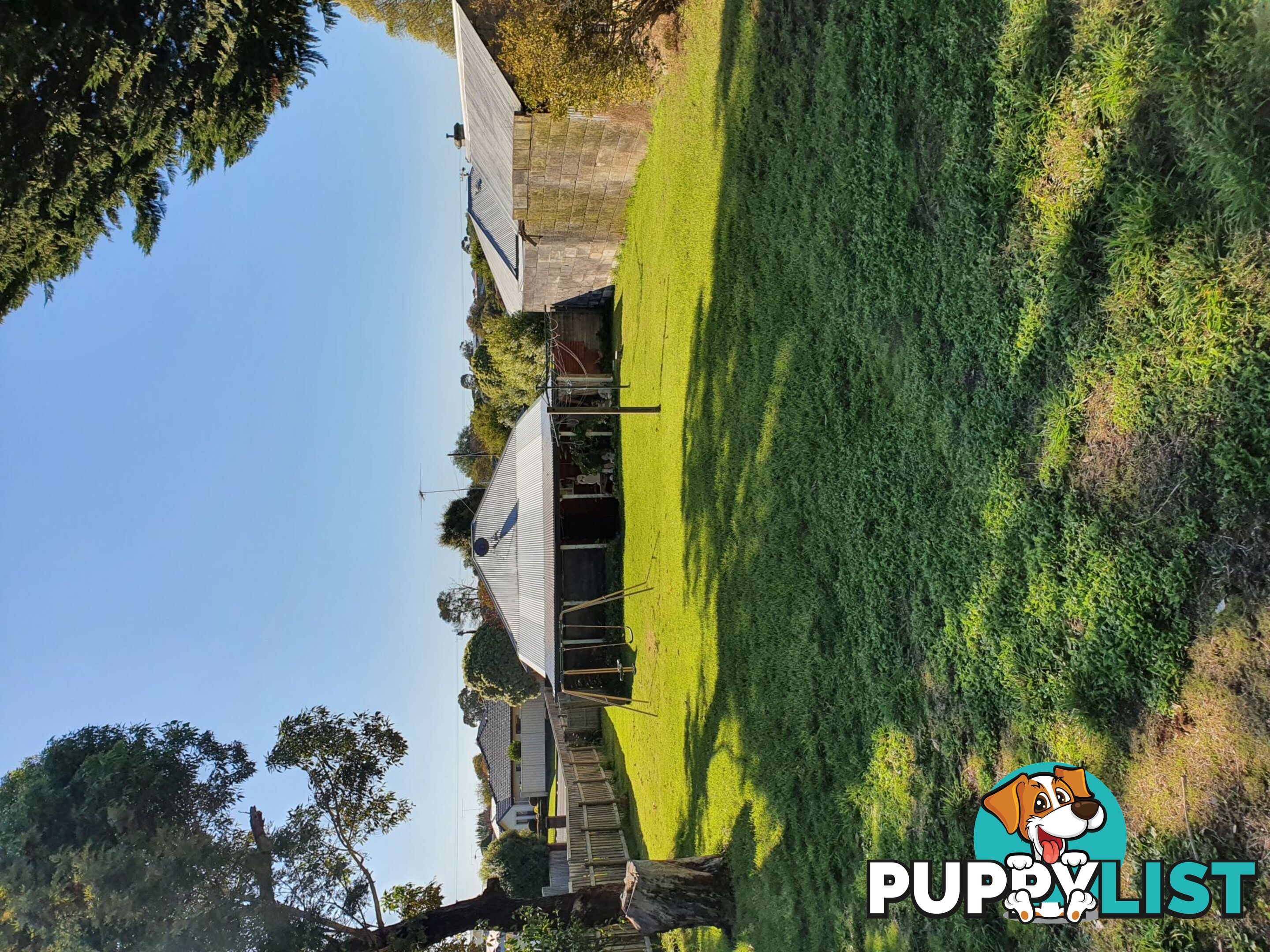 37 Queens Avenue Mount Gambier SA 5290