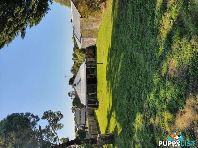 37 Queens Avenue Mount Gambier SA 5290