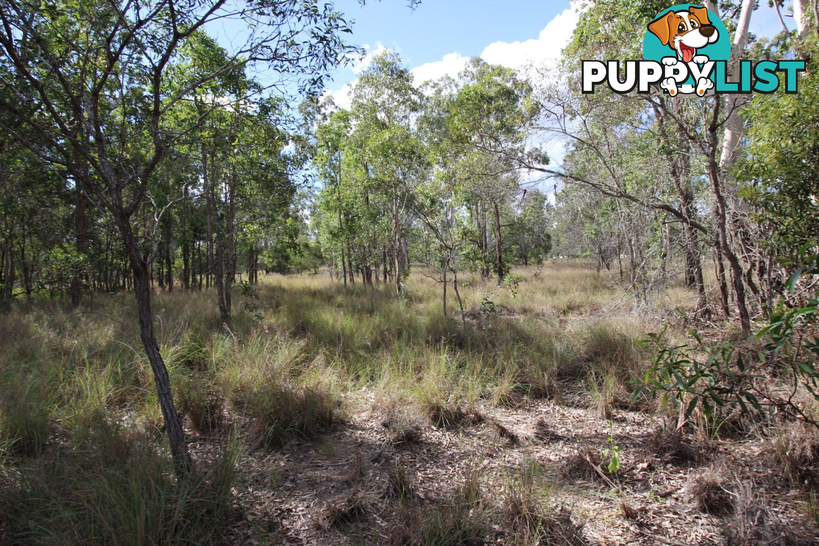 1551 Memerambi Barkers Creek Road Wattle Camp QLD 4615