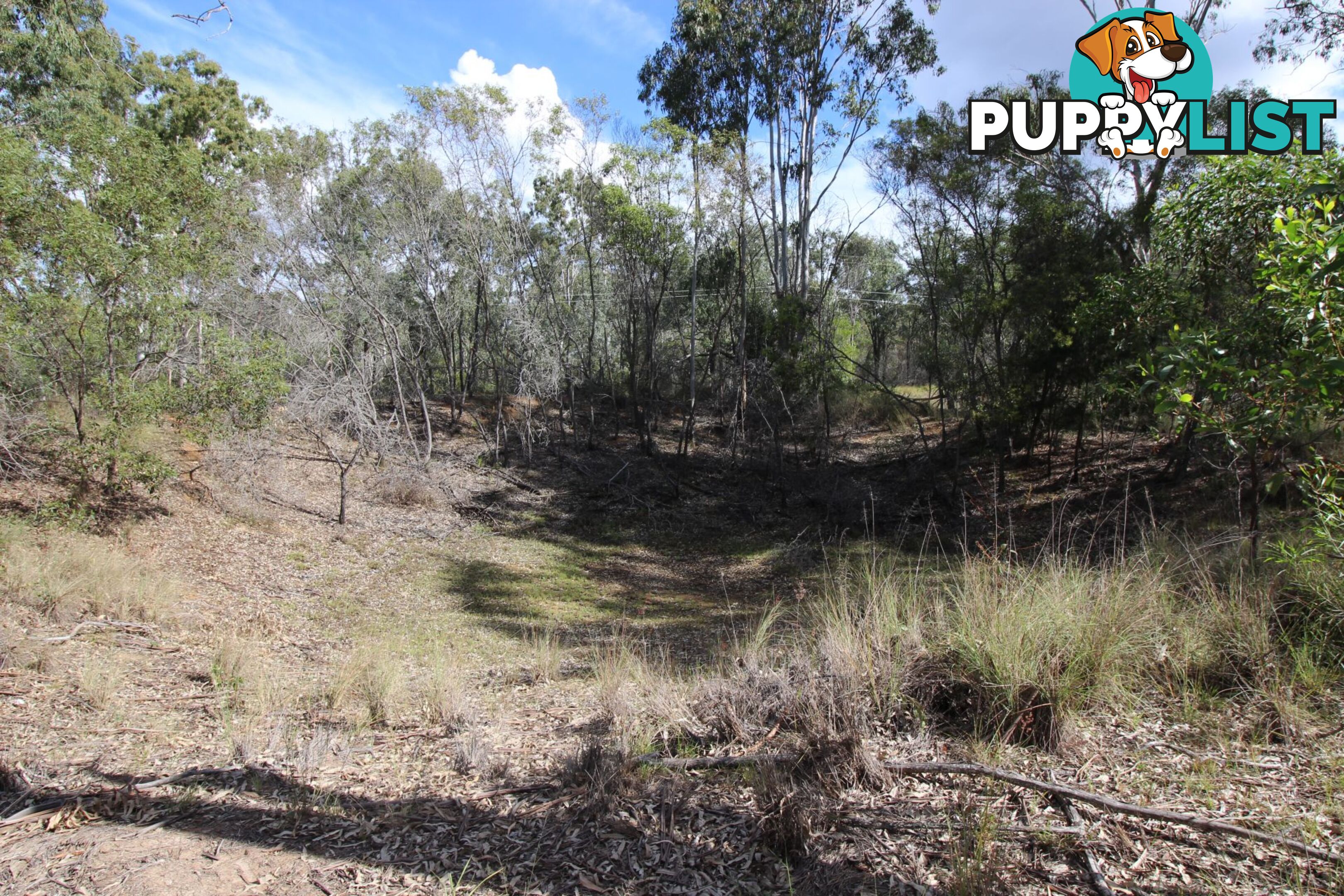 1551 Memerambi Barkers Creek Road Wattle Camp QLD 4615