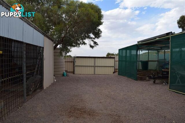 1031 OLIVER STREET Coober Pedy SA 5723