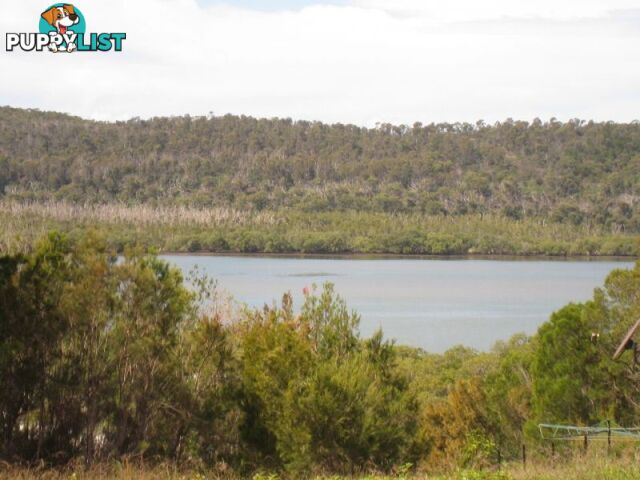 12 OPAL CRT Russell Island QLD 4184