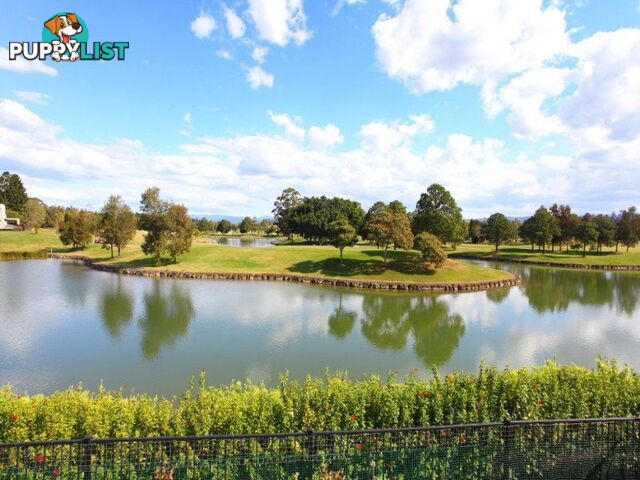 1031 Royal Pines Resort BENOWA QLD 4217