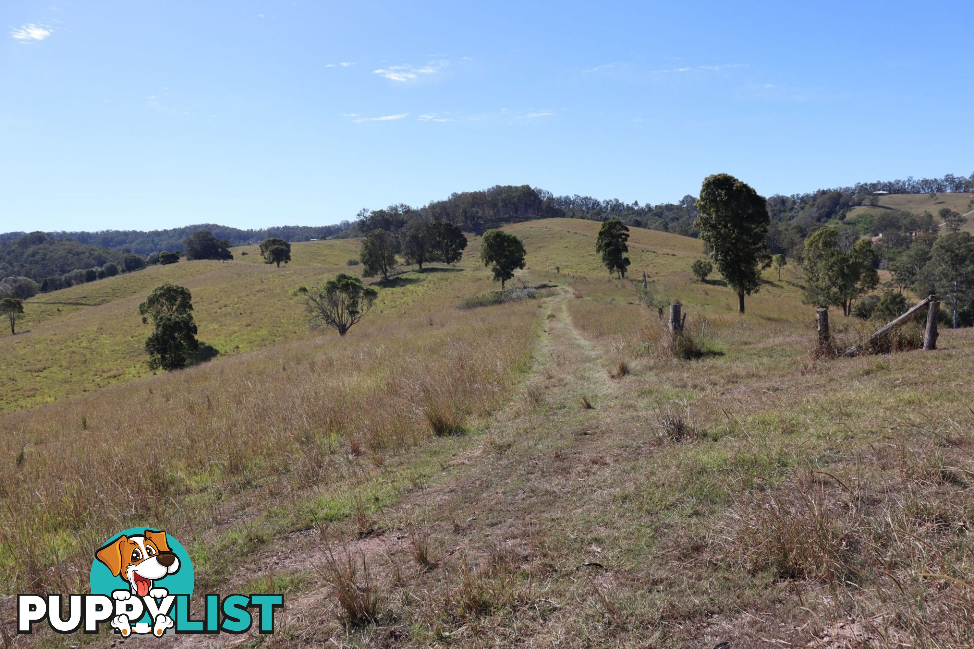 Lots 13 & 22 Sandy Creek Road Veteran QLD 4570