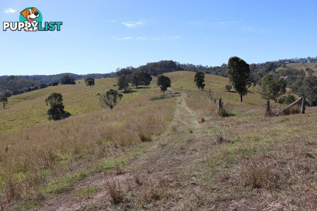 Lots 13 & 22 Sandy Creek Road Veteran QLD 4570