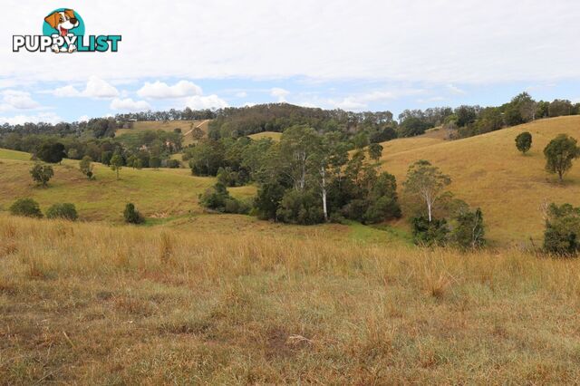 Lots 13 & 22 Sandy Creek Road Veteran QLD 4570