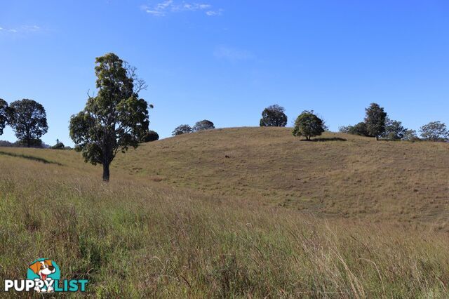 Lots 13 & 22 Sandy Creek Road Veteran QLD 4570