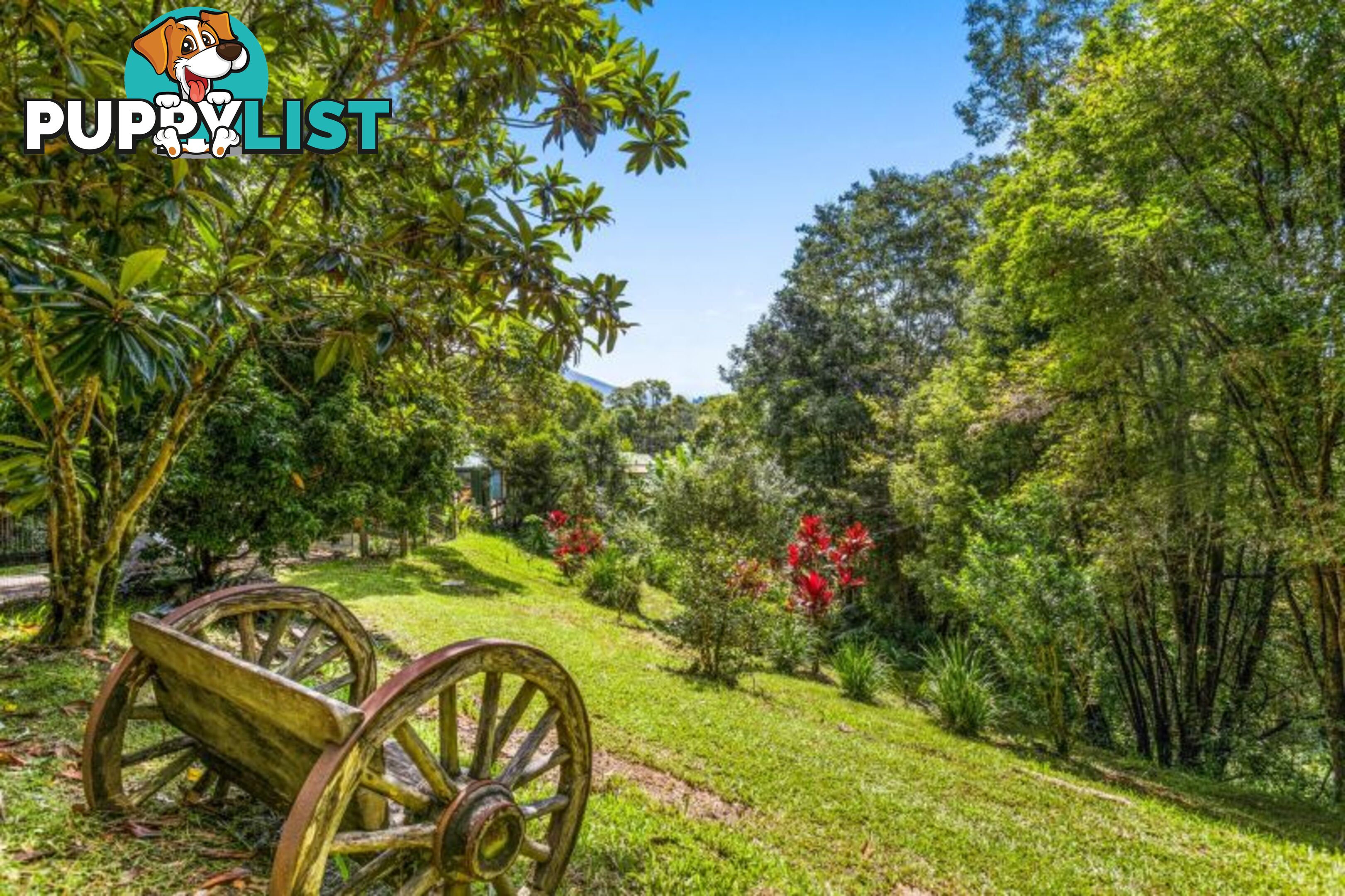 79 Clareville Road Smiths Creek NSW 2484