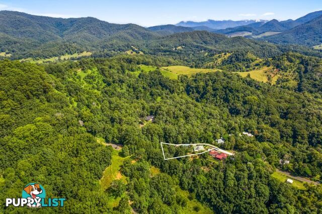 79 Clareville Road Smiths Creek NSW 2484