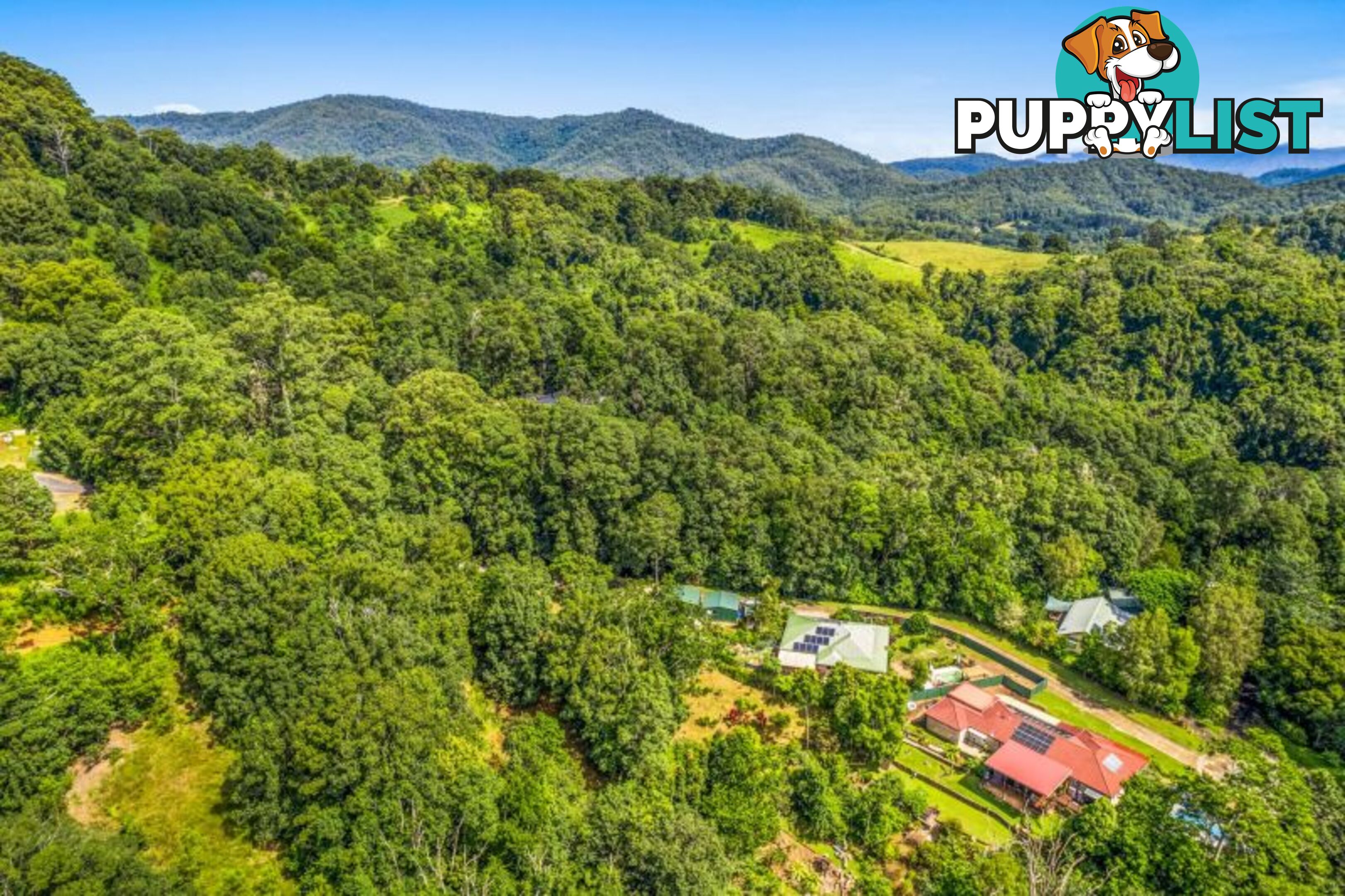 79 Clareville Road Smiths Creek NSW 2484