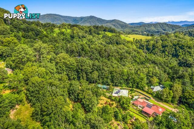 79 Clareville Road Smiths Creek NSW 2484