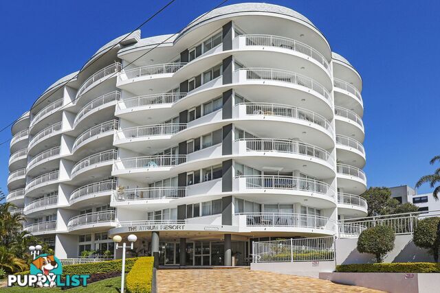 5j 510 Marine Parade Biggera Waters QLD 4216