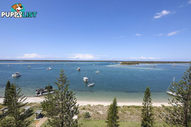 5j 510 Marine Parade Biggera Waters QLD 4216