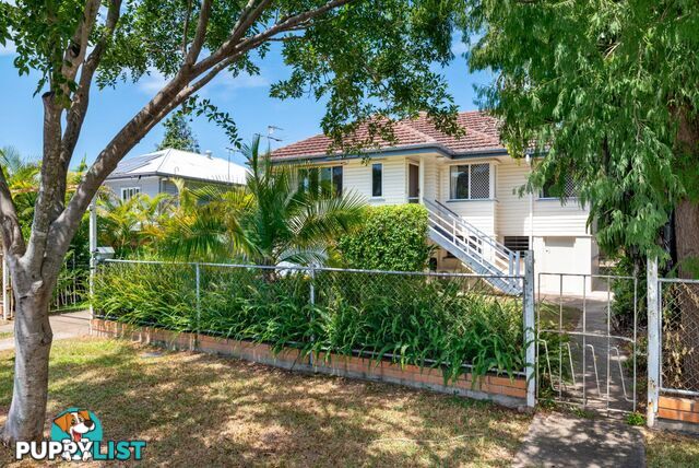 6 Woking Street Mitchelton QLD 4053