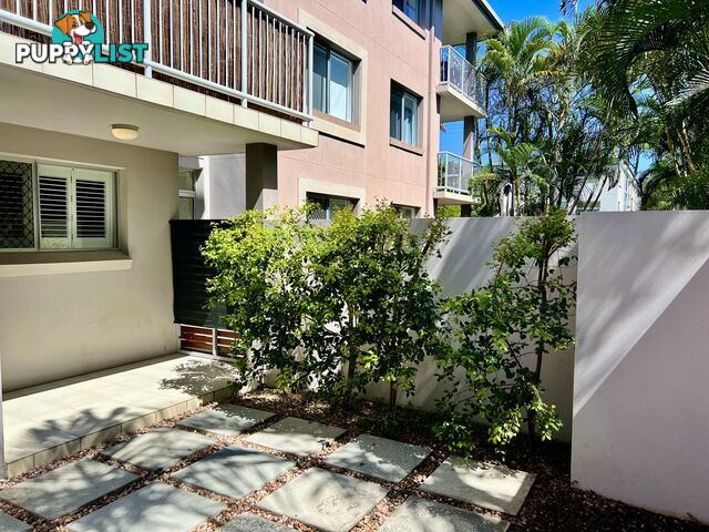 2 49 Brighton Street Biggera Waters QLD 4216