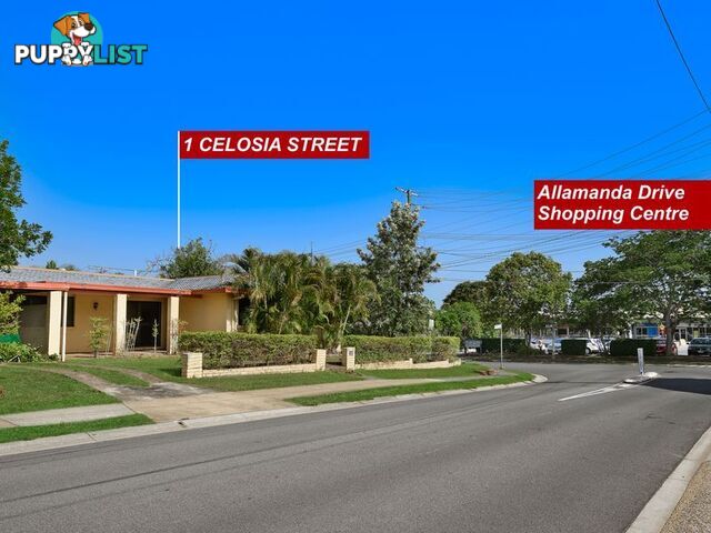 1 Celosia Street DAISY HILL QLD 4127