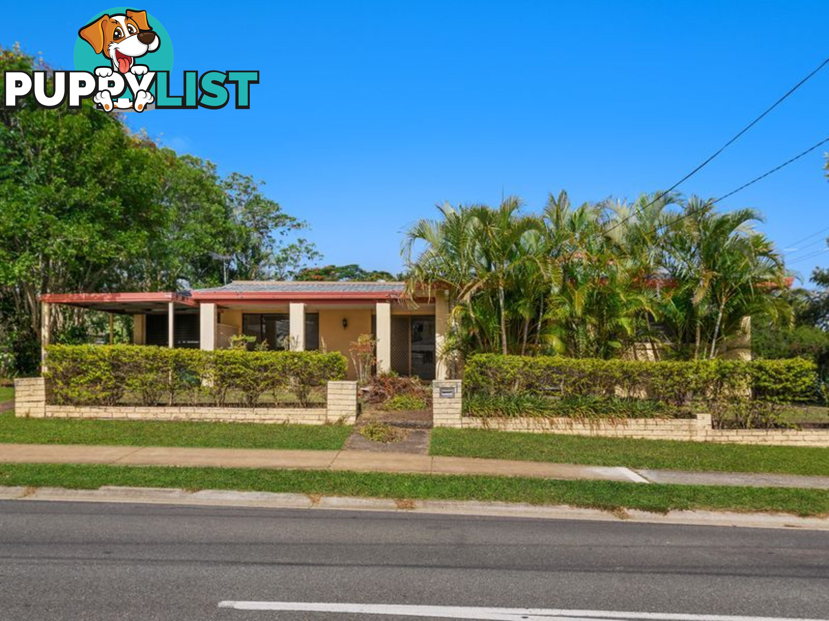 1 Celosia Street DAISY HILL QLD 4127