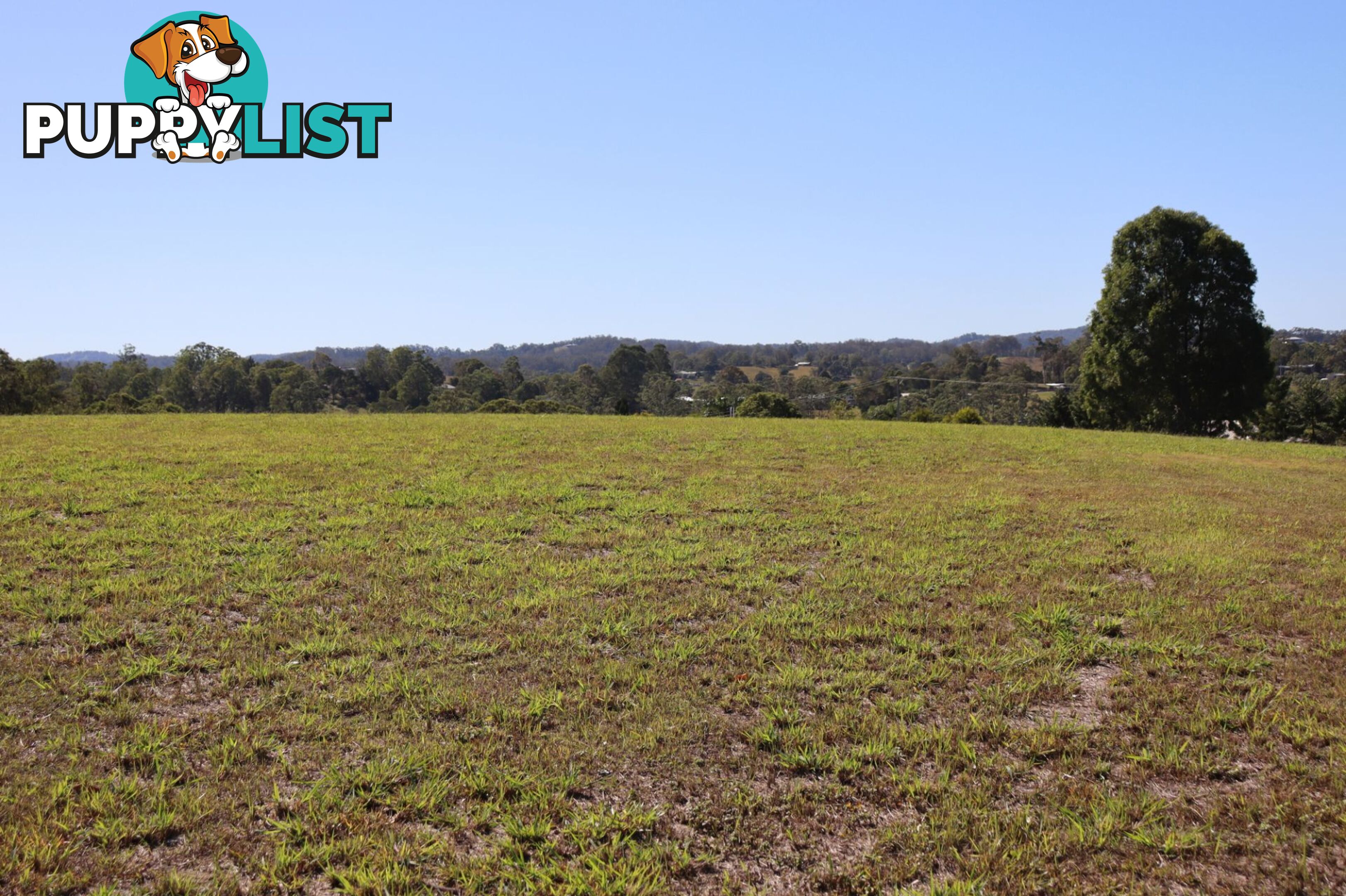 Lot 4 "Acres on Taylor" Veteran QLD 4570