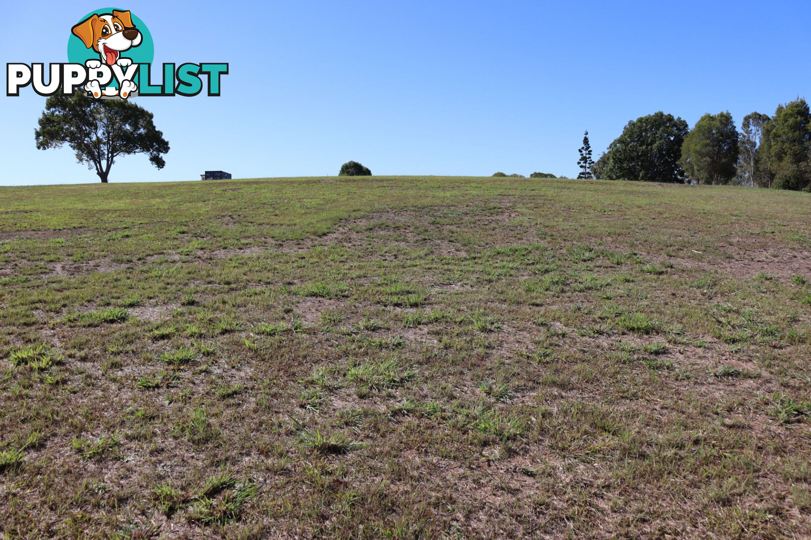 Lot 4 "Acres on Taylor" Veteran QLD 4570